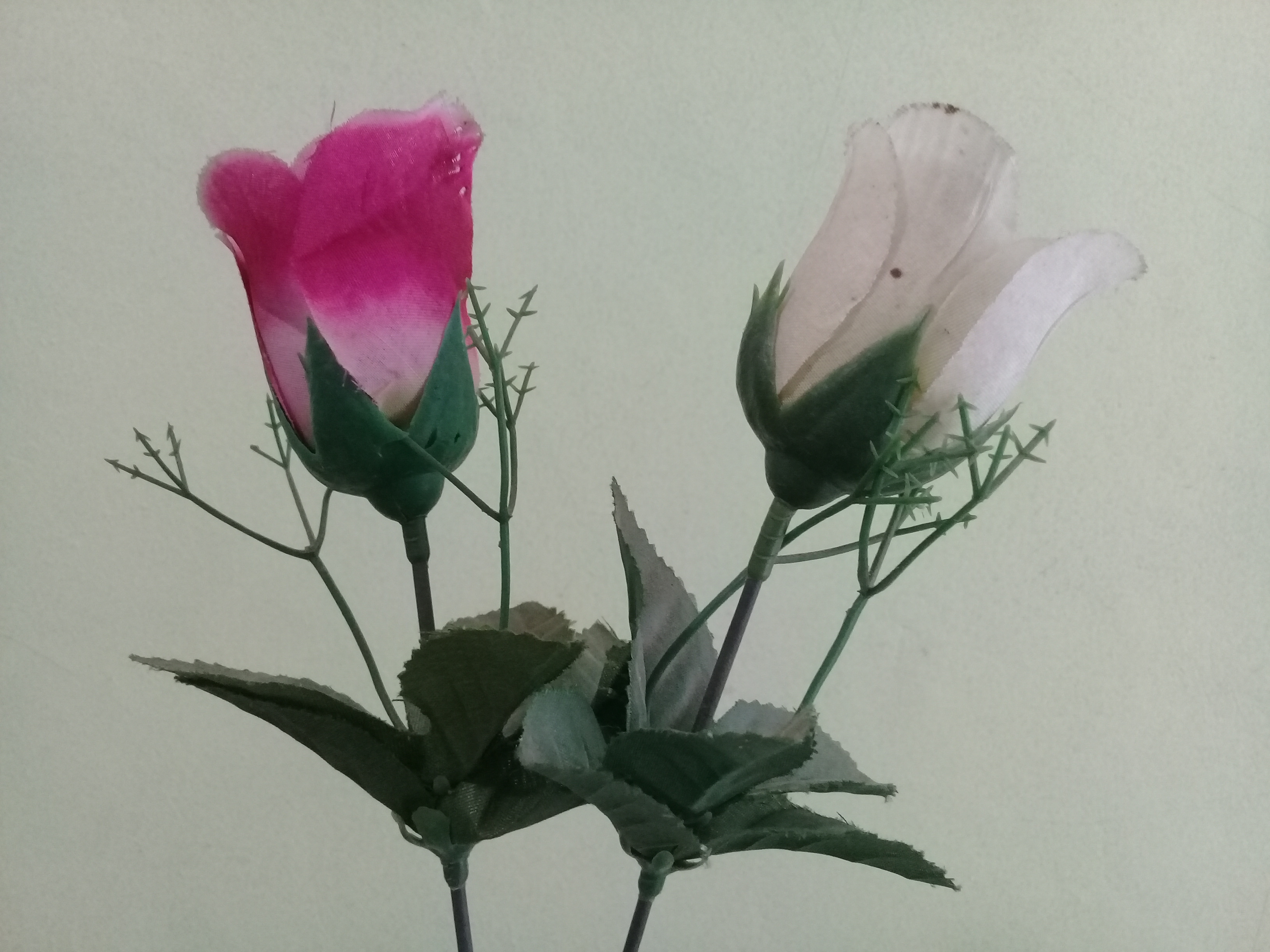 Ingin Cantikmu Seperti Bidadari? Coba Hal Ini!