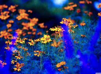 Mual dan Pusing saat Haid, Kenapa? Alasannya Membuatmu…