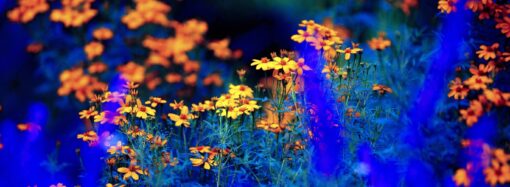 Haruskah Melepas Benda Asing pada Tubuh Jenazah sebelum Dimakamkan?