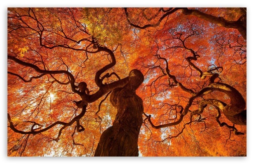 Wasiat Allah Sepanjang Masa (Bagian 3)