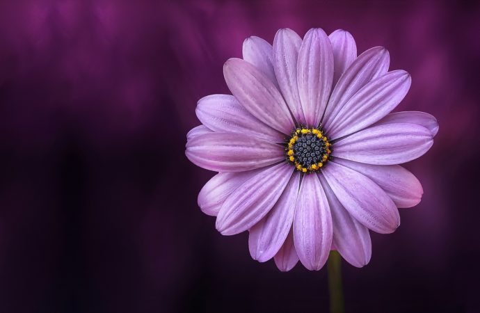 Tips Mengatasi Cemburu