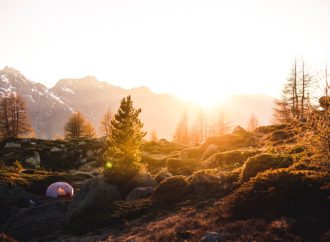 Mencintai Tanpa Kata