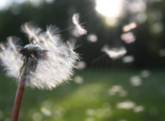 Tak Enaknya Jadi Janda