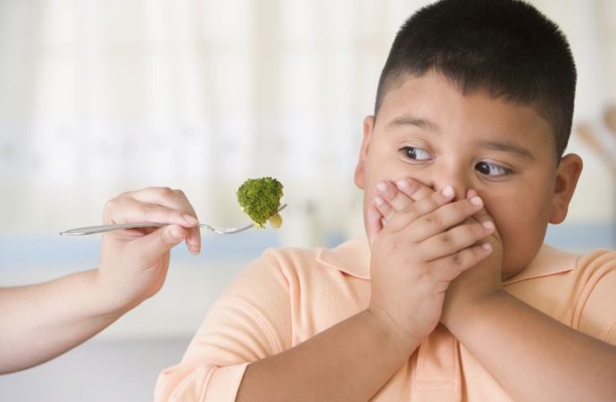 10 Tips Jitu Mengatasi Anak Picky Eater