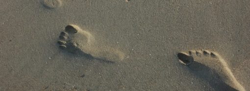 KISAH INSIRATIF: Dibangunkan Semut Salat Tahajud