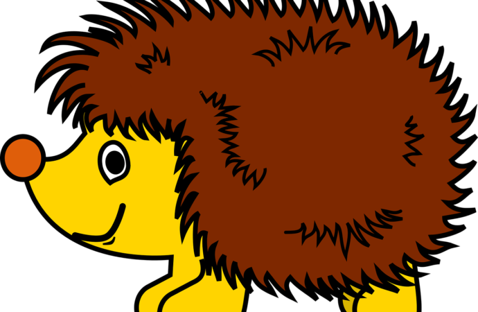 Lalan, Landak Yang Kesepian