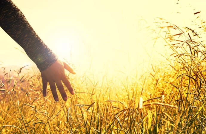 Penyebab Kita Tidak Puas dan Mudah Iri pada Rumah Tangga Orang Lain