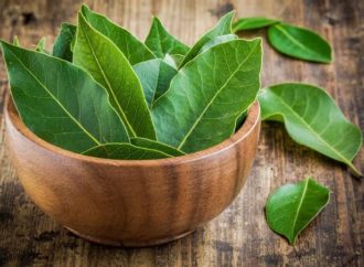 Bagaimana Perbedaan Antara Hibah dan Wasiat?