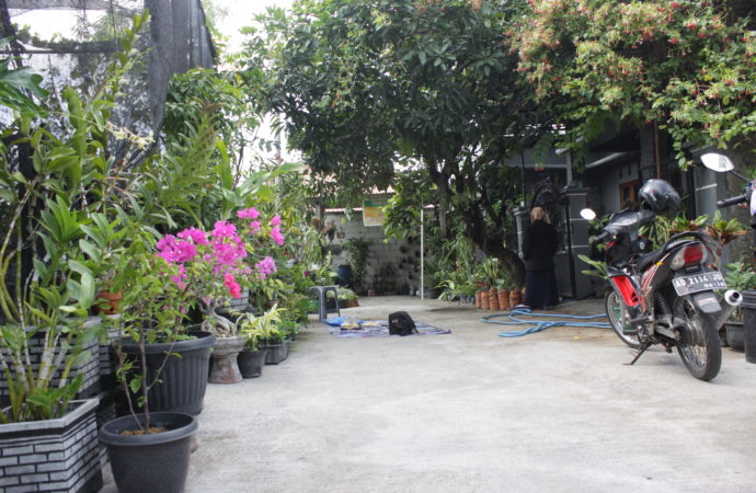 Tips Menata Rumah nan Asri