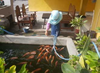 Penguatan Karakter, Siswa SDIT Nurhidayah Diminta Bantu Pekerjaan Rumah