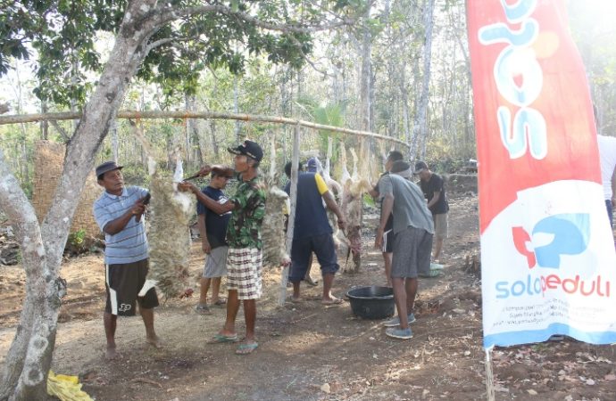 Raih Keuatamaan Ibadah Kurban