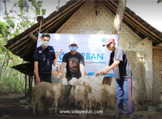 SOLOPEDULI Tebar 29 Sapi & 505 Kambing Qurban ke Pelosok Jateng, DIY dan NTT