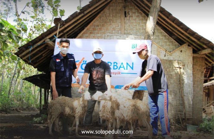 SOLOPEDULI Tebar 29 Sapi & 505 Kambing Qurban ke Pelosok Jateng, DIY dan NTT