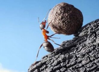 Kesulitan yang Menumbuhkan, Bagaimana Caranya?