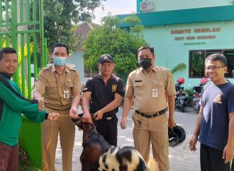 SDIT Nur Hidayah Solo Berkurban 4 Sapi dan 14 Kambing